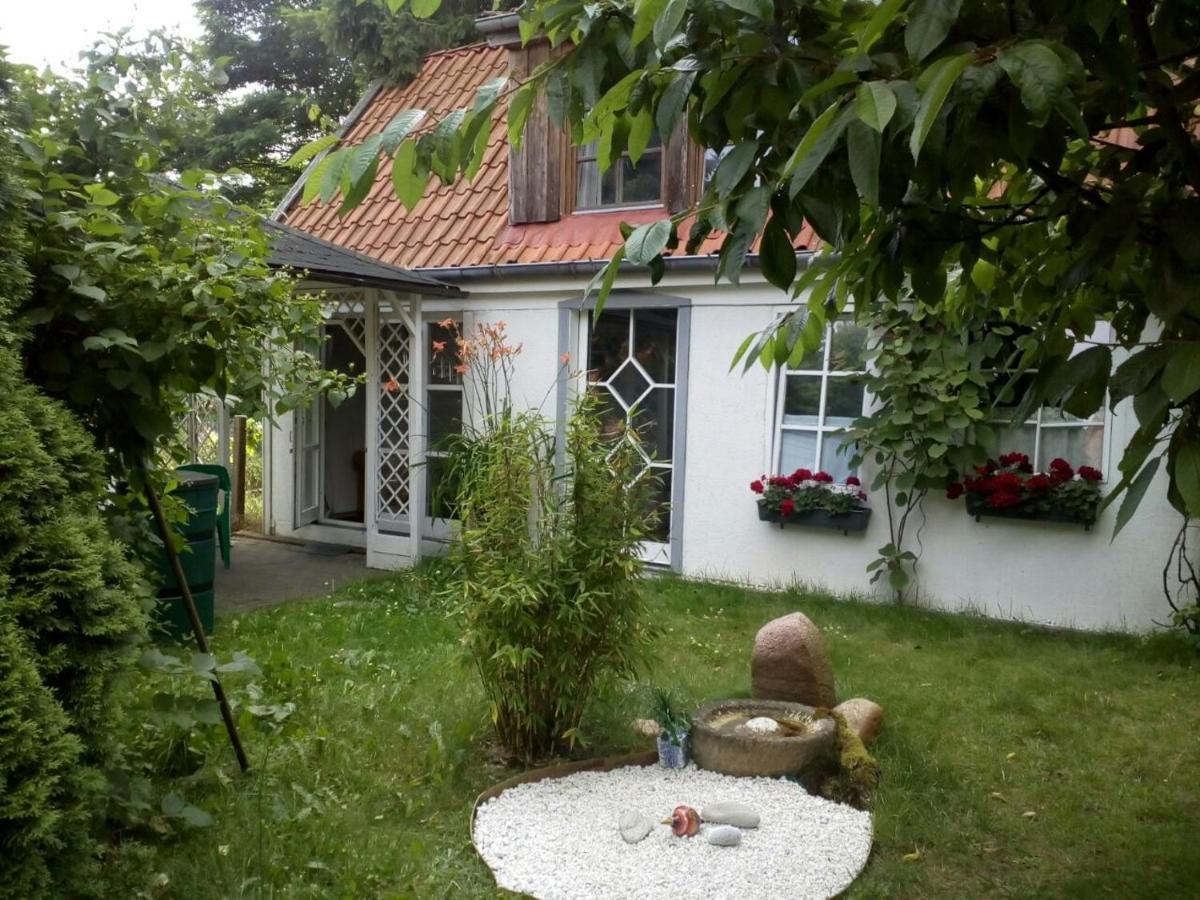 Zum Kaffeehändler Hitzacker Exteriör bild